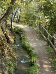 wandern an einem südtiroler waalweg