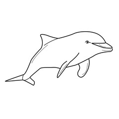 Dolphin outline vector illustration, coloring page for design and creativity