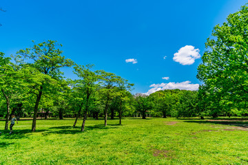 Fototapeta na wymiar 東京 渋谷 代々木公園 ~ Yoyogi Park, one of the largest parks in Tokyo, Japan ~