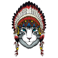 Face of domestic cat. Portrait of animal. Cute kitty, kitten. Indian traditional headdress.