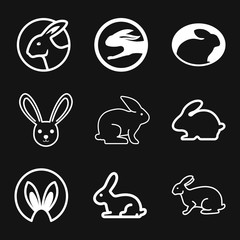Rabbit icon vector, design on background, Rabbit Logo for your design. Animal.