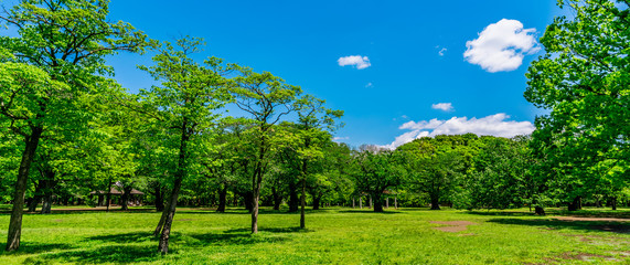東京 渋谷 代々木公園 ~ Yoyogi Park, one of the largest parks in Tokyo, Japan ~
