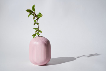 A green branch stands in a pink ceramic vase on a white background.