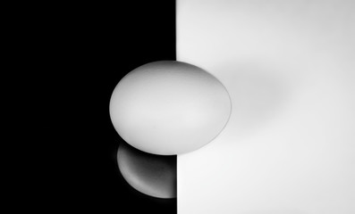 egg