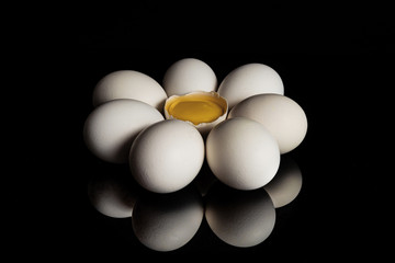 egg flower on a black background