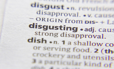 Disgusting word or phrase in a dictionary.