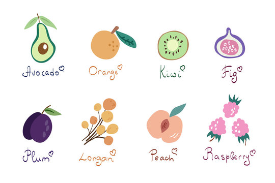 Doodle style vector illustration with colorful fruits isolated on white background. Cute fruit & berries sketch with hand written lettering. Longan, avocado, fig, raspberry, plum, peach, kiwi, orange.