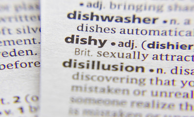 Dishy word or phrase in a dictionary.