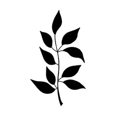 Black tropical leaf silute on an isolated white background. Botanical tree branches, palm leaf on the stem. Spring summer leaf. Concept design logo icon for the application. Vector illustration.