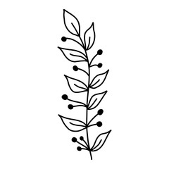  Serve with leaves. Botanical illustration. Black and white engraved ink art. Leaves of plants of a botanical garden, flower foliage. Isolated leaf illustration element. Vector design elements.
