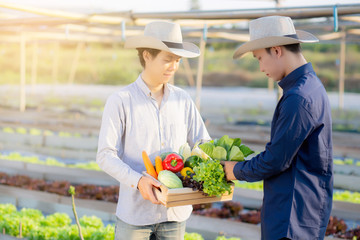 Two young asian man picking up fresh organic vegetable with basket together in the hydroponic farm beautiful, harvest and agriculture and cultivation for healthy food and business concept.