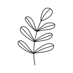 Serve with leaves. Botanical illustration. Black and white engraved ink art. Leaves of plants of a botanical garden, flower foliage. Isolated leaf illustration element. Vector design elements.