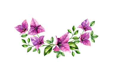 Watercolor tropical bouquet. Violet bougainvillea branches in wreath arrangement. Hand painted tropical background. Botanical illustrations isolated on white - obrazy, fototapety, plakaty
