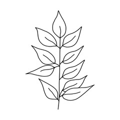  Serve with leaves. Botanical illustration. Black and white engraved ink art. Leaves of plants of a botanical garden, flower foliage. Isolated leaf illustration element. Vector design elements.