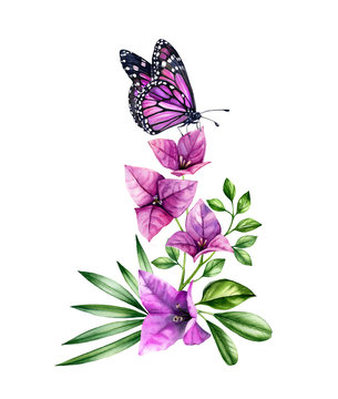 Watercolor bougainvillea branch with butterfly. Purple flowers, violet monarch and palm leaves. Hand painted floral tropical bouquet. Botanical illustrations isolated on white