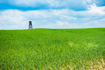 Pole wieża chmury © Dariusz
