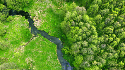 Aerial.. River in the forest. Beautiful spring nature. View above.