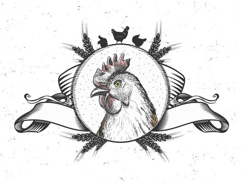 Hen logo or emblem design, trade symbol with bird head in circle