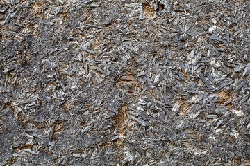 Old dry wood Chipboard texture. Gray pattern Chipboard as background