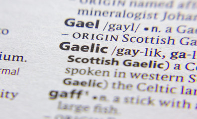 Gaelic word or phrase in a dictionary.