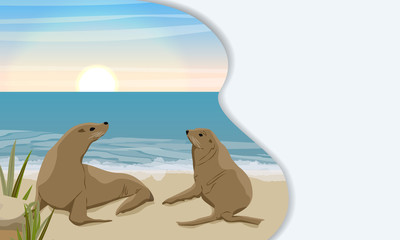 Landing page template with multi-level shadows. Two fur seals on the sandy coast of the sea or ocean with fragments of rocks and thickets of grass. Vector landscape. 