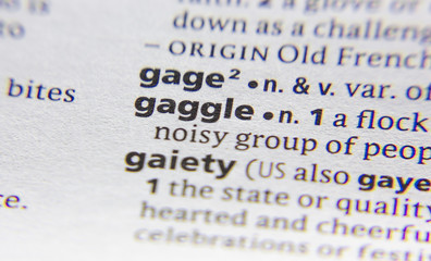 Obraz premium Gaggle word or phrase in a dictionary.