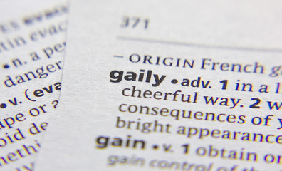 Gaily word or phrase in a dictionary.