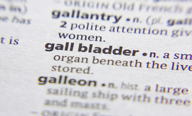 Gall bladder word or phrase in a dictionary.