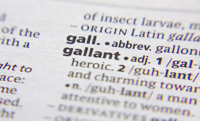 Gallant word or phrase in a dictionary.
