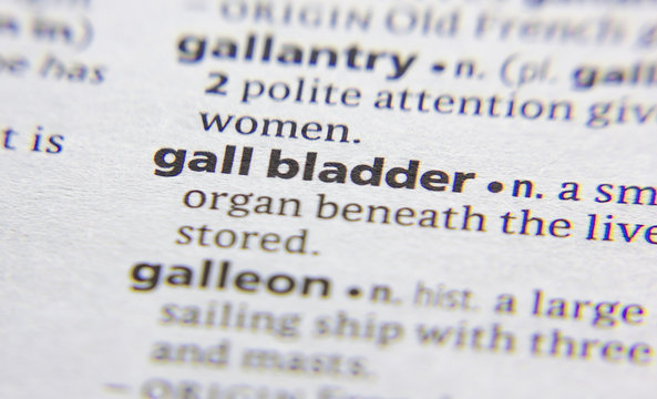 Gall bladder word or phrase in a dictionary.