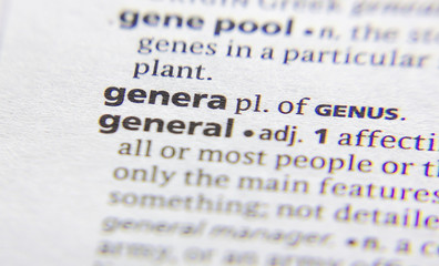 Genera word or phrase in a dictionary.