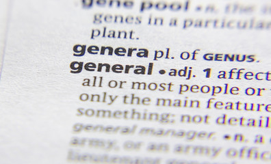 General word or phrase in a dictionary.
