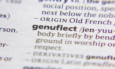 Genuflect word or phrase in a dictionary.