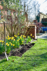 Digging a flower bed or garden border, gardening in spring, UK