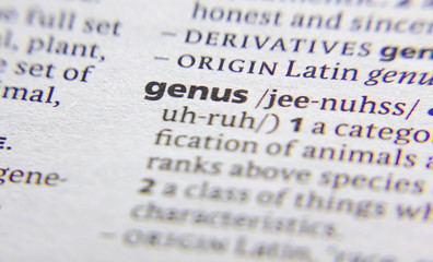 Genus word or phrase in a dictionary.