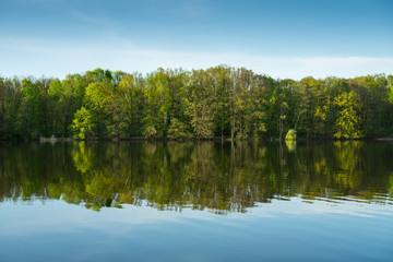 Fototapeta na wymiar Reflejos del bosque en el lago