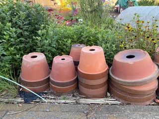 Obraz premium pots with flowers