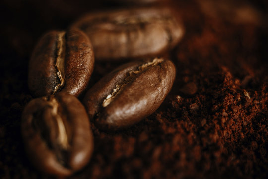 Coffee beans close up on grounded coffee pile. Fresh aromatic roasted coffee beans macro view. Space for text. Brown tone moody image © sonyachny