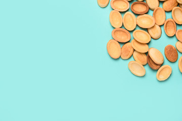 Homemade nuts with condensed milk, chocolate inside, walnuts and almonds. Nuts on a light blue background. A place for text.