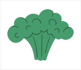 Vector broccoli on white background. Healthy food icon. Vegetable illustration. Flat hand drawn organic nutrition clipart. .