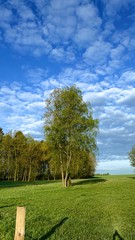 in der Ruhe der Natur