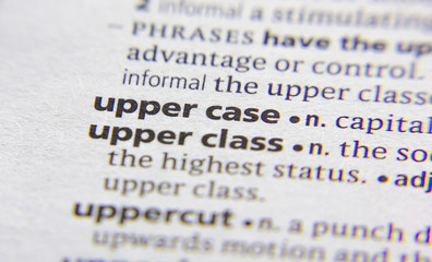 Upper case word or phrase in a dictionary.