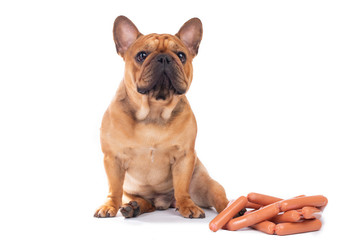 Obraz premium French bulldog dog and sausages on a white isolated background