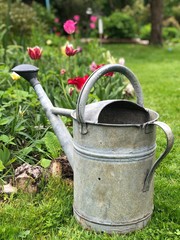 watering can in a garden © Stockholm Syndrome