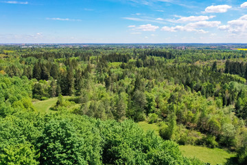 Fototapeta na wymiar Aerial bird view from above the Perlacher Forst pine forest in Munich. Drone picture of the green spring forest in south Germany