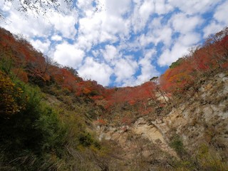 養老渓谷の紅葉とひつじ雲