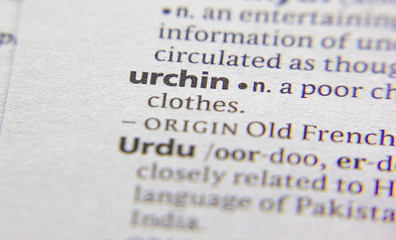 Urchin word or phrase in a dictionary.