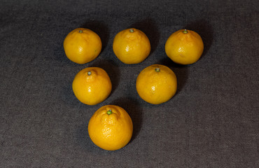 Still life with tengerines