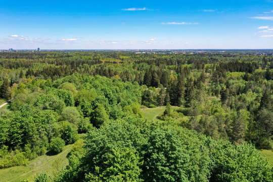 Drone aerial photography of a forest in Munich in spring. Bird view from above the Perlacher Forst, pine forest near to the German Alps