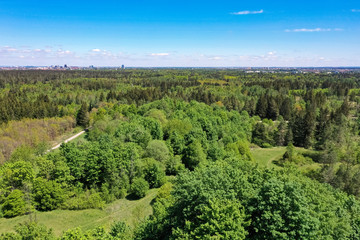 Fototapeta na wymiar Aerial drone shot from height at the Perlacher Forst, southern Germany near Munich in spring pine forest. Near the Alps